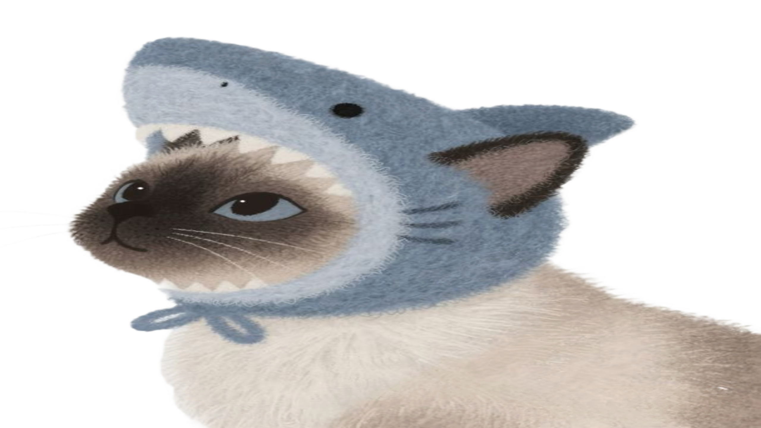 A Siamese cat wearing a shark hat, dreaming of becoming a real shark